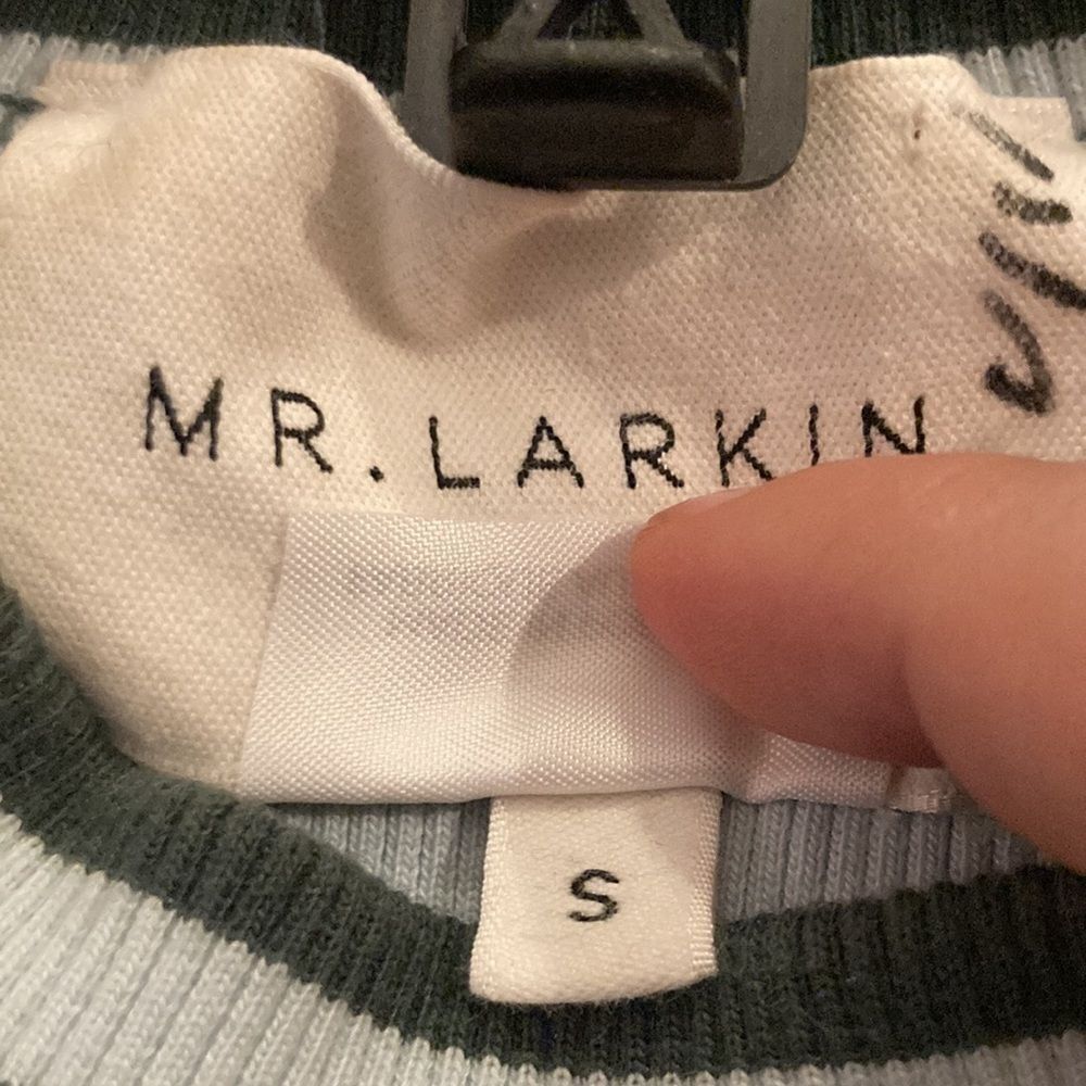 MR. Larkin Balloon Sleeve Seafoam Green Striped top - Picture 5 of 7